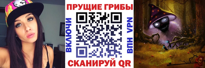 наркота  Ленинградская  Псилоцибиновые грибы Psilocybe 